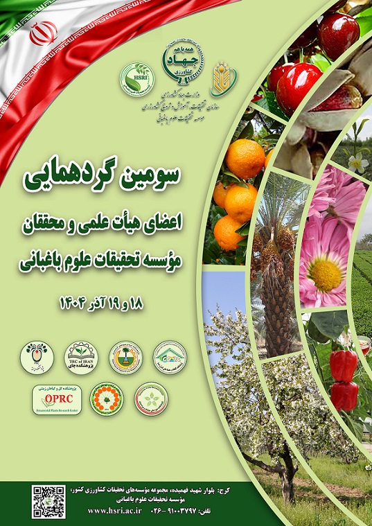 jj (1)_6390026795388153660.jpg